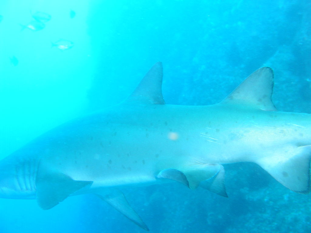 e165e5b3-3a4d-42de-9c3f-b1561bdd49ef