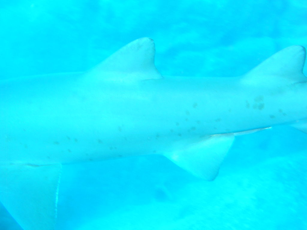 8289d520-d6a6-47d7-be8a-5a41b1f6c2ab