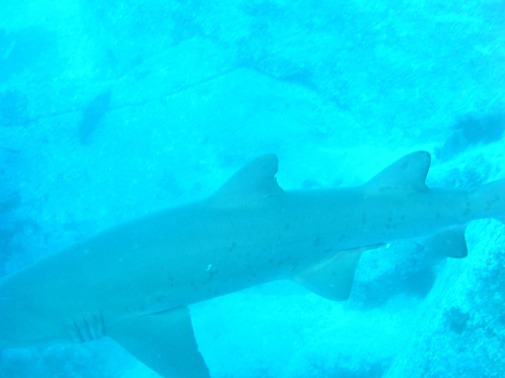 cd4cd5c9-cc66-4f2b-9b85-d888c34e8c58