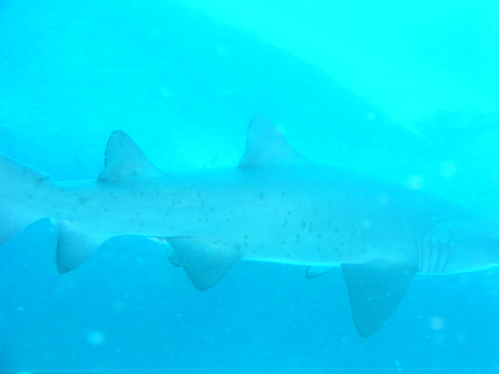 0eee0077-fc06-40ee-90cd-445c86116a8f