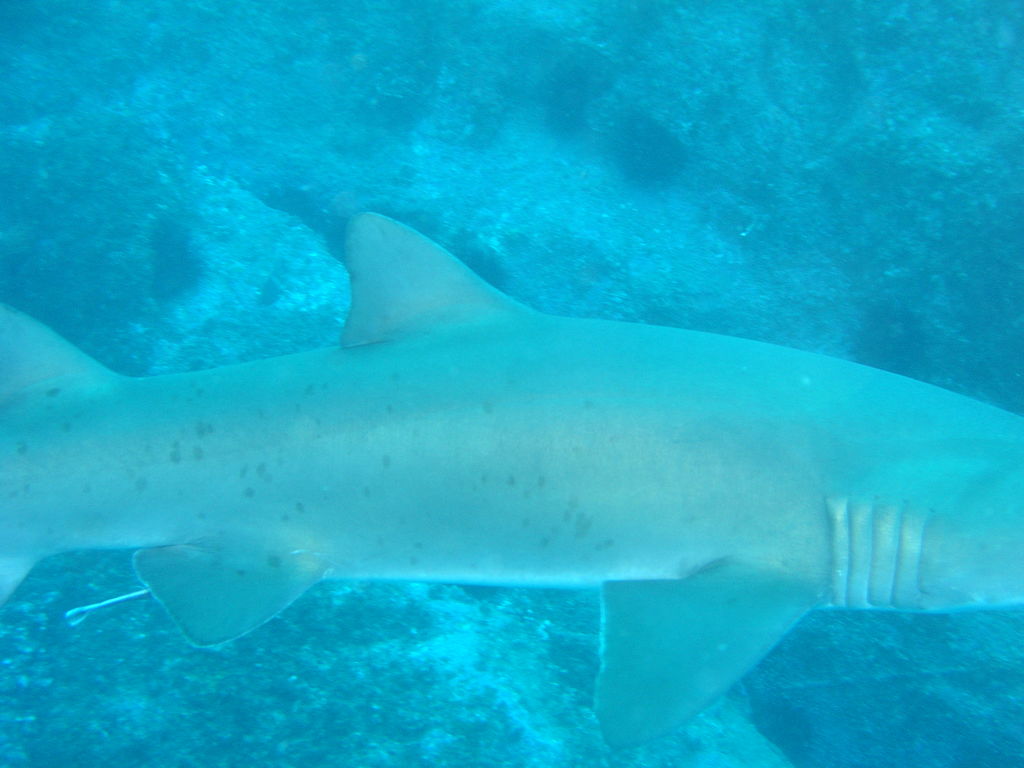 97e088d6-52d8-43a2-bb12-e136e034a29d