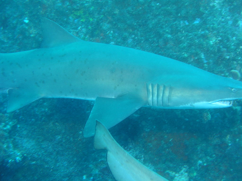 d338dedc-cf50-4903-bca6-d5e83db4f8b8