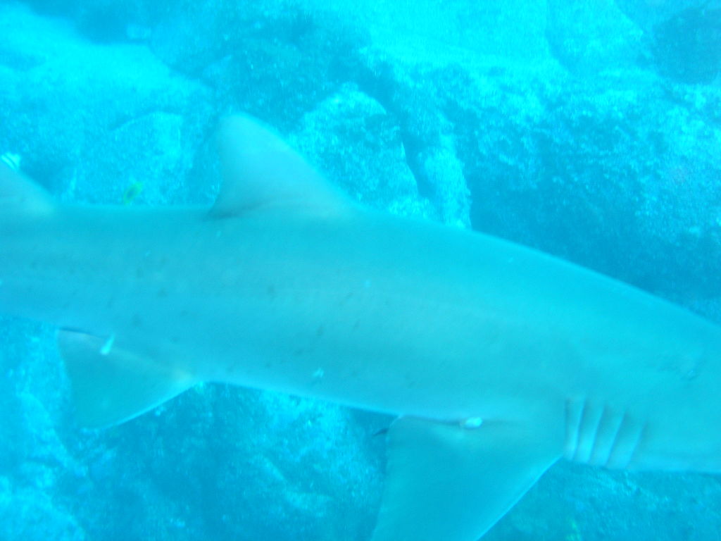 6a018f52-7870-4d4b-947e-4f109a4ae12c