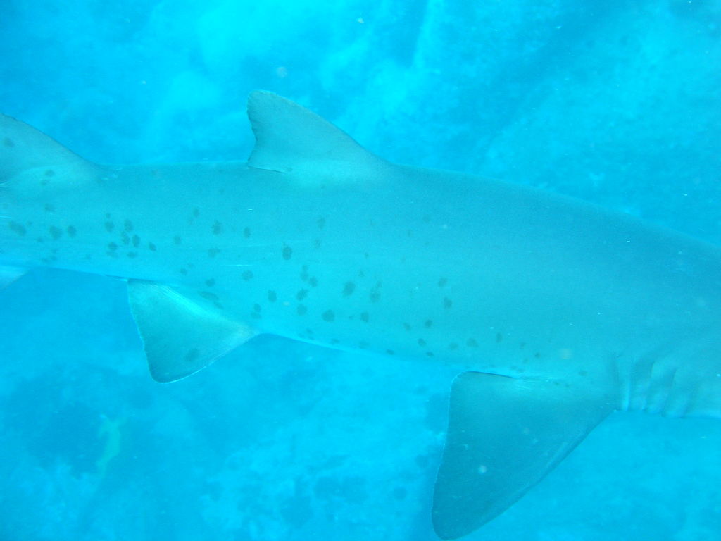 57364c2b-9016-4a42-a42b-538a1b1e7adb