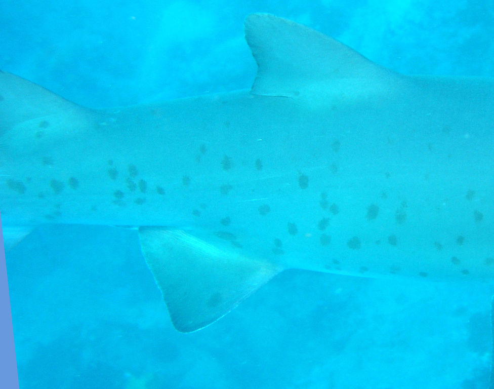 57364c2b-9016-4a42-a42b-538a1b1e7adb