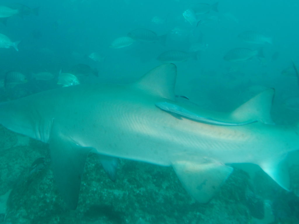 f76cebbb-f113-48a8-b47e-c0f81f94bbc6