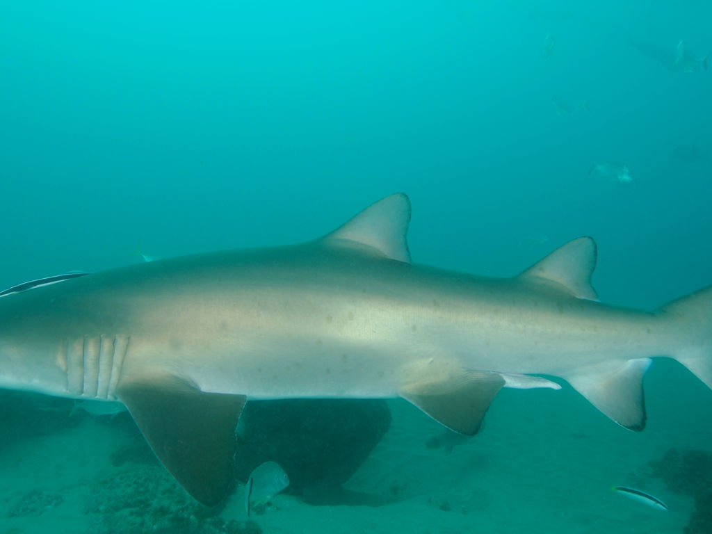 96ec4604-ce13-4f5b-ba0c-16a125fcb905