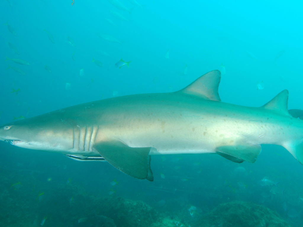 ebd5d8d7-6bbe-4cb6-81b8-cac58d54dee4