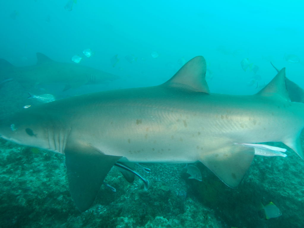 b9848591-6be2-4b19-8471-a8d68eb1a7d9