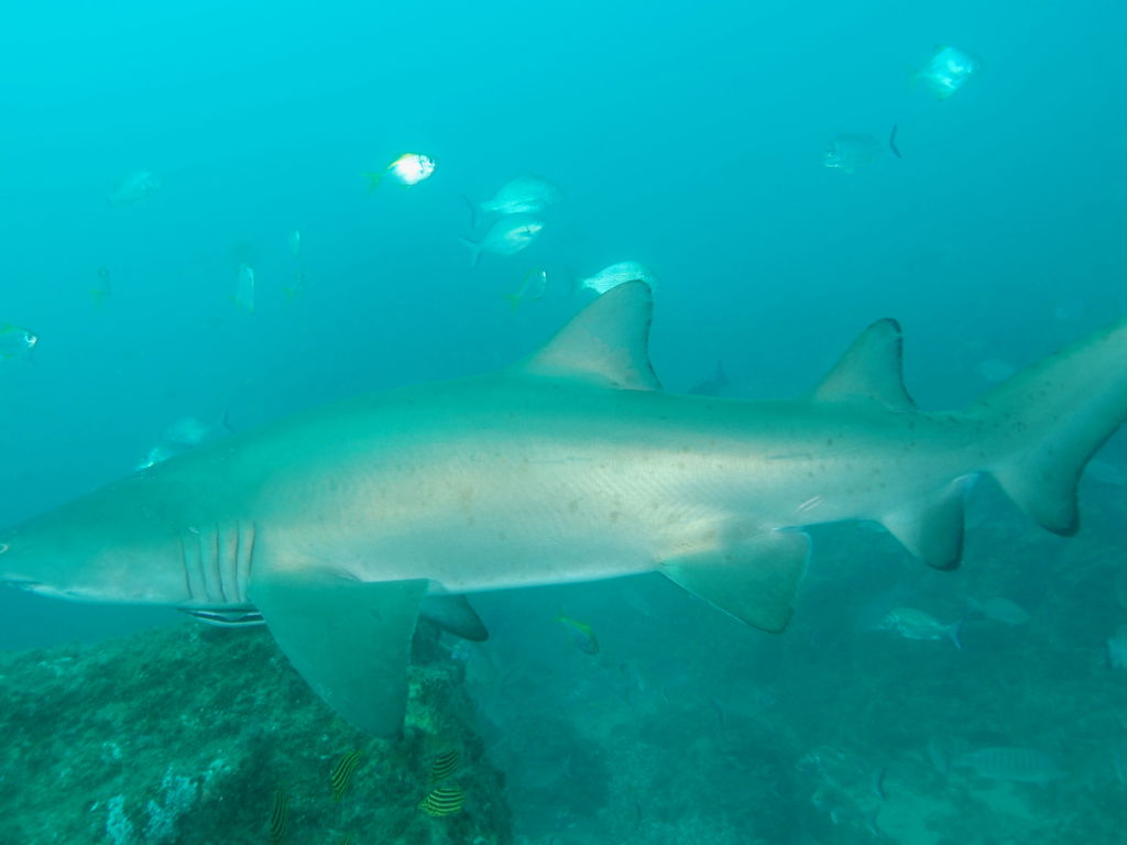 ebd5d8d7-6bbe-4cb6-81b8-cac58d54dee4