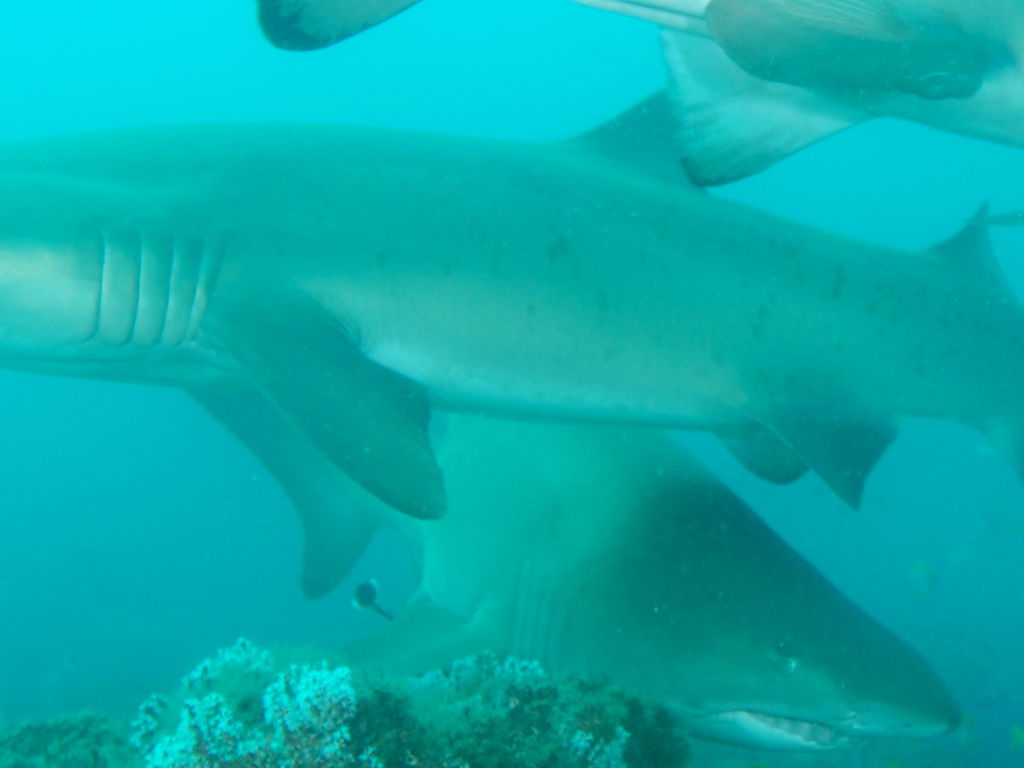 d3de591c-8e55-4ec7-a9b2-de72d25c0de8