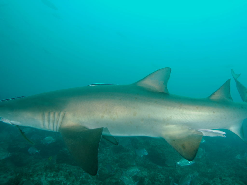 7105b1ea-6d38-4ce3-9c4b-3b6fcfddada3