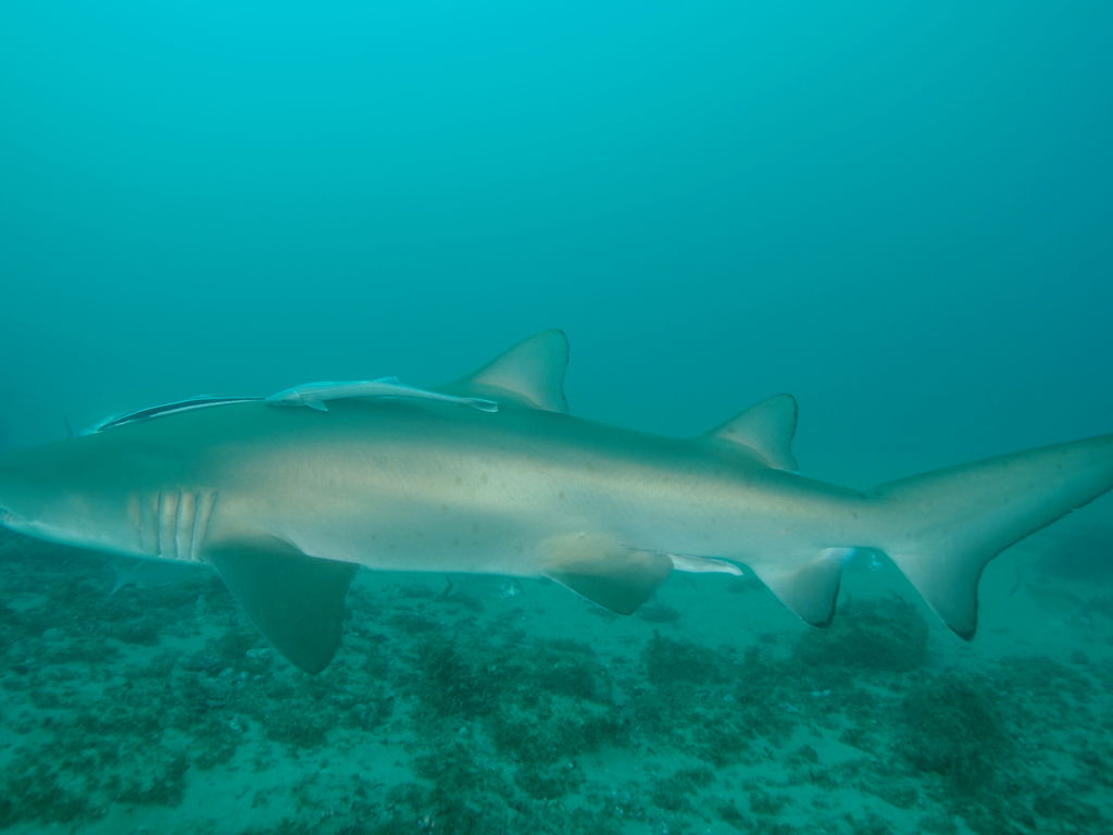 96ec4604-ce13-4f5b-ba0c-16a125fcb905