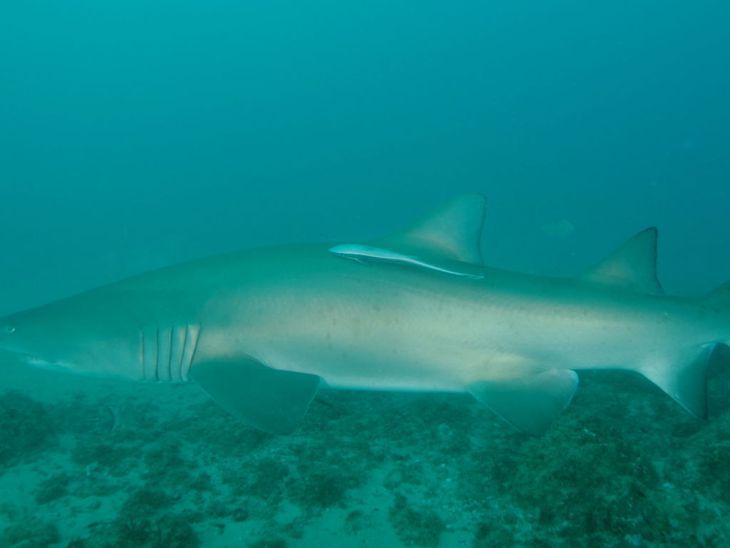 96d49936-afa2-4ddb-b9df-7ad0c3109f92