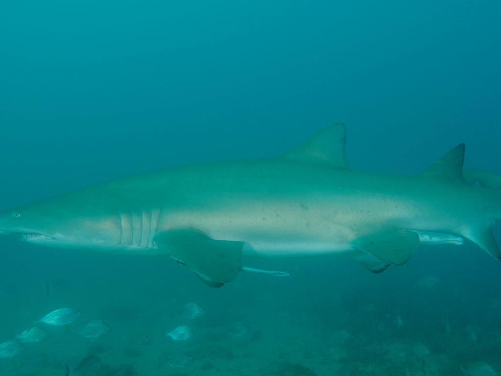 c5272881-a2b0-4479-994e-09ca94bb0a60