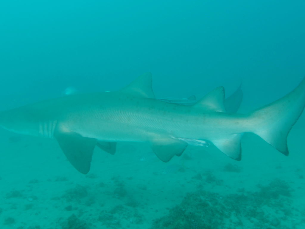 a0ce645e-546e-4fbf-97d5-498ccb4d451e