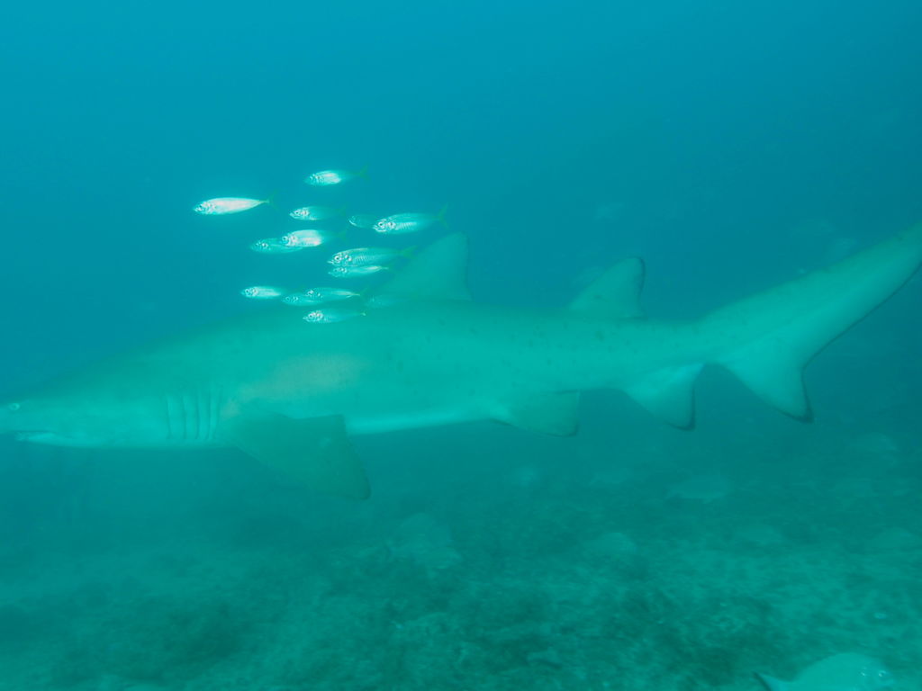 0ea7aa26-17bf-457d-a48b-d4c637c3e97d