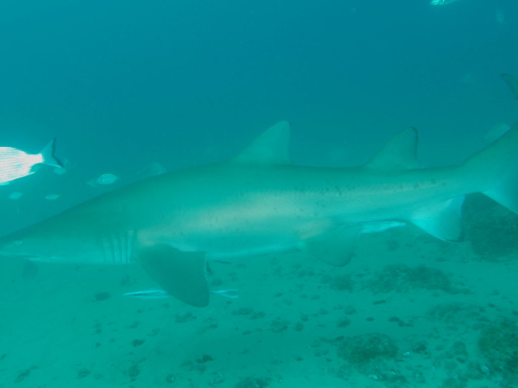 f8863a84-5b7c-41c1-92f3-17cf66754845