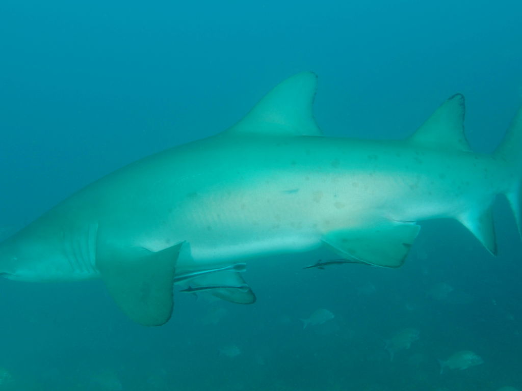 44958742-e64d-4eef-b03e-fe400857f5d2