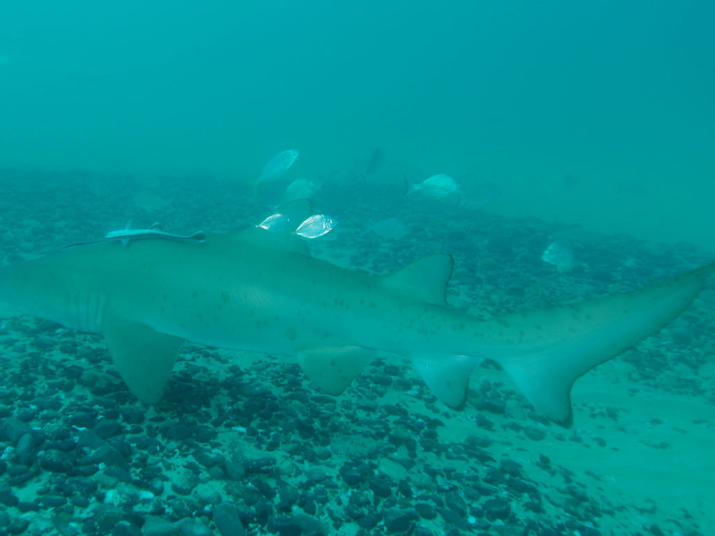 891c6220-3bbc-4da0-a853-a42f8d214e2c