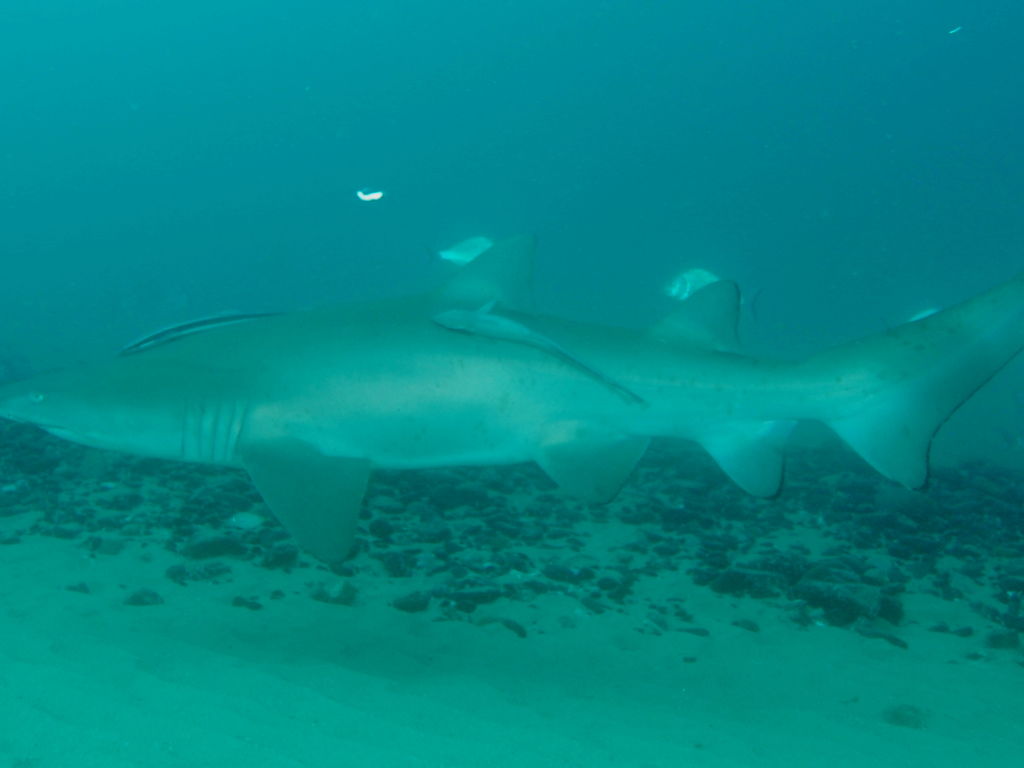 18563e31-15be-4f81-833e-7997238bac26