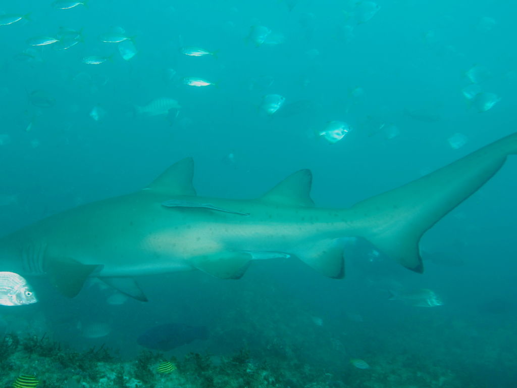 e2105cd8-3568-4c57-8503-7ac148d4ffdd