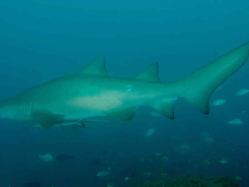 3cac8d67-0f5a-4bf6-878d-367714523886