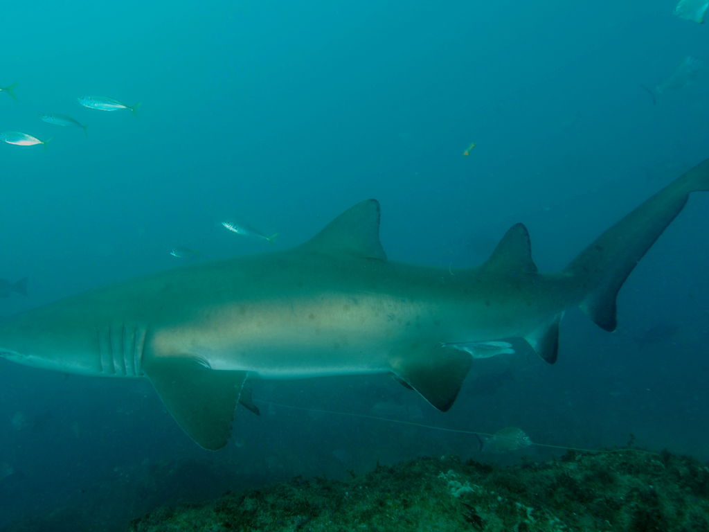 9d5e13e6-cdbe-4098-82f8-4cc9e5d540e1