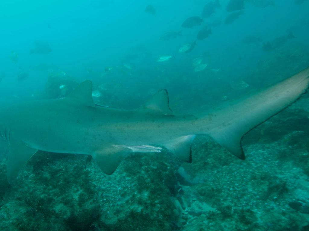 048cd38d-2356-4c73-afce-19a950802842