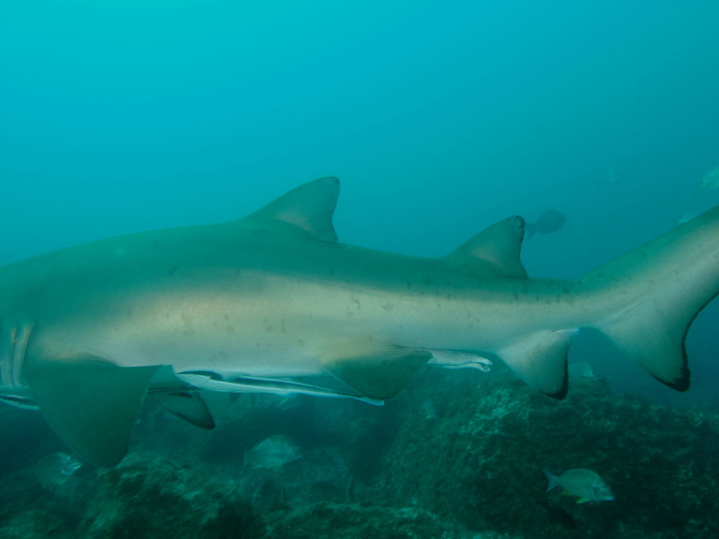 4766e9d6-7da9-4ed5-99be-9588fc64ce4c