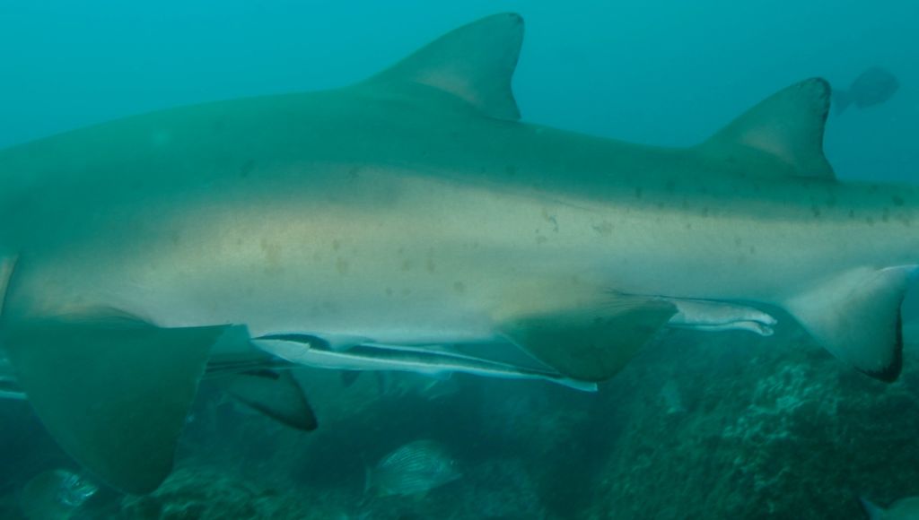 4766e9d6-7da9-4ed5-99be-9588fc64ce4c