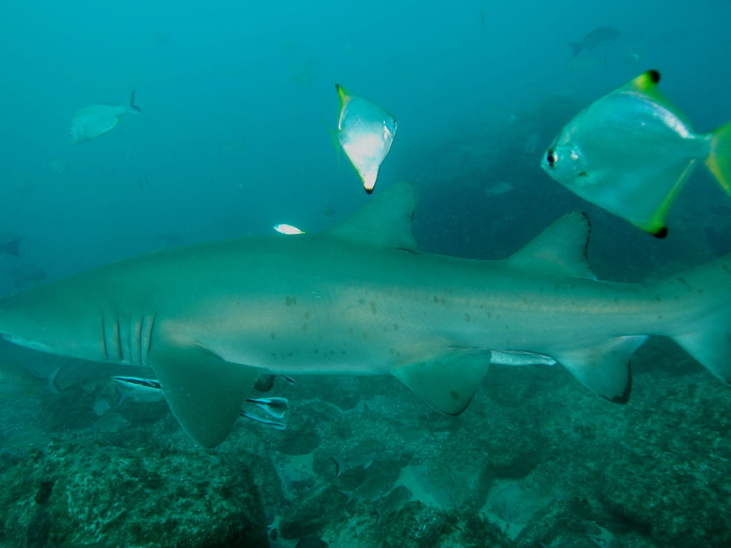 b9848591-6be2-4b19-8471-a8d68eb1a7d9