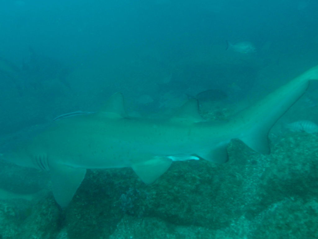 710310b1-7065-4091-a1ed-d3bc1735571a