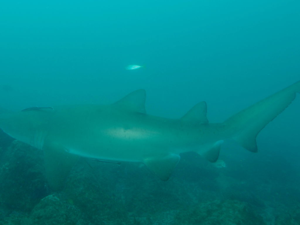 2fd791c0-9c26-44e3-b6cb-3ec02d51b928