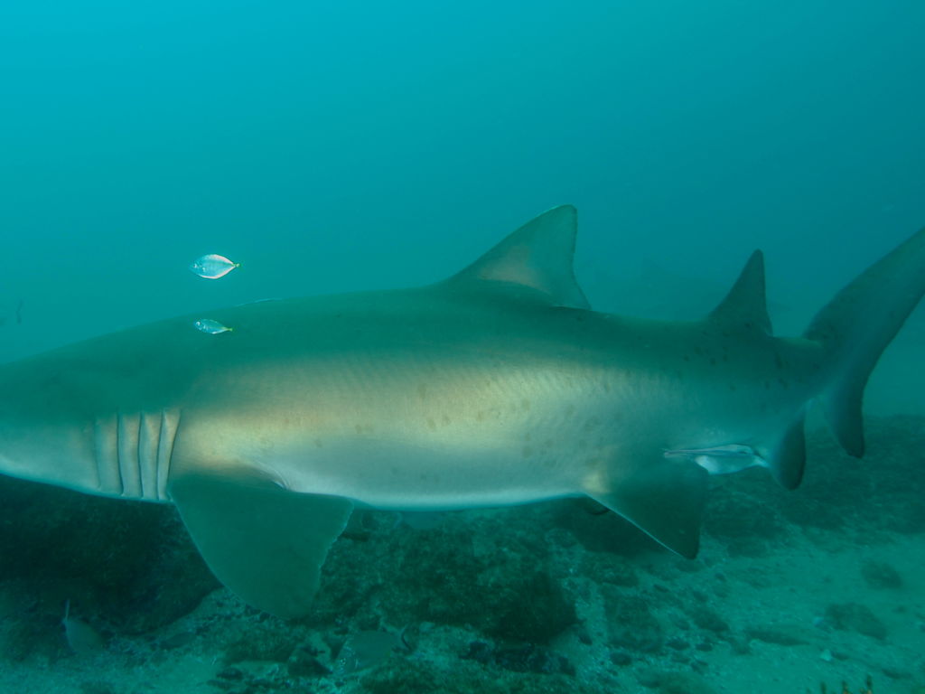 00d497ca-72e6-4693-9ebe-5210257b4ae5