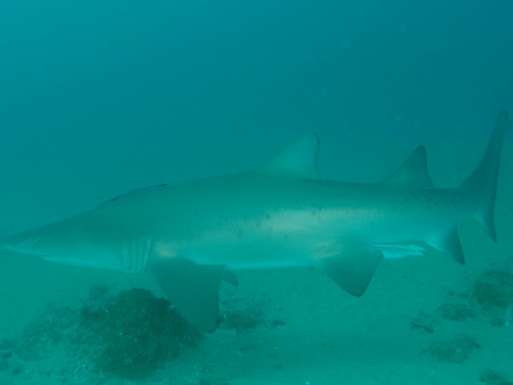 ac8f330a-3f99-43c9-894a-d4d0f672de4f