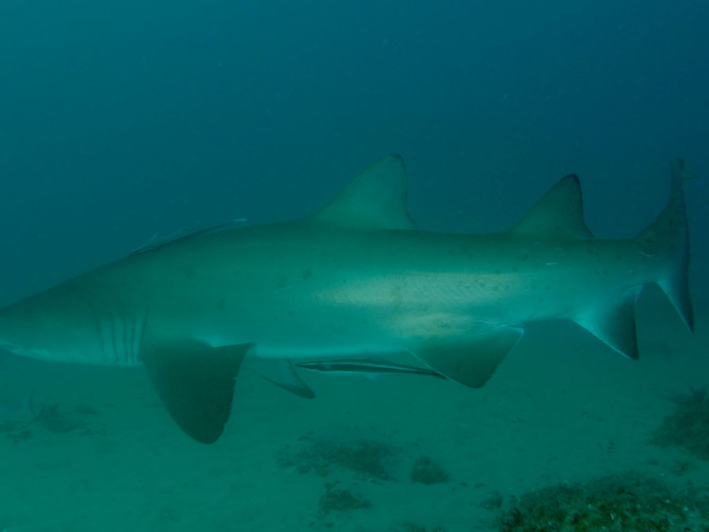 ce66660d-8160-45bb-b45c-203c581ecce3