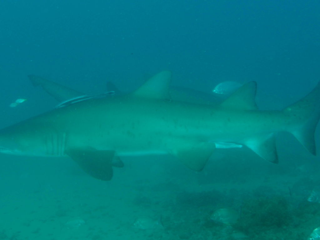 6ed6b691-d4b8-479d-b155-21df923d7529