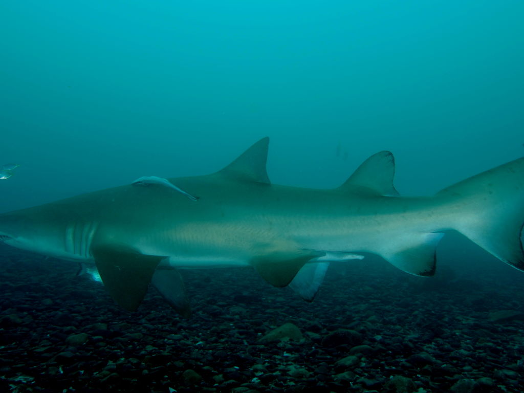 b8320dbc-12fb-4467-a6d5-17a06f21bc1c