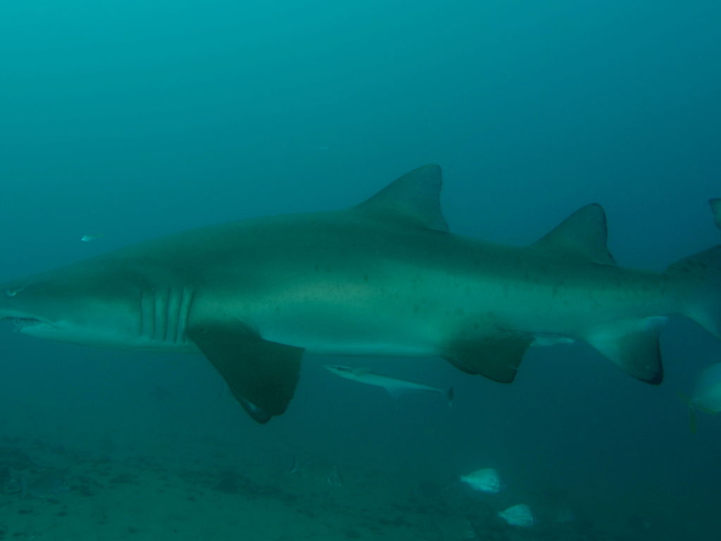 2f4bdc93-13ef-4bec-b27a-8b4236c42970