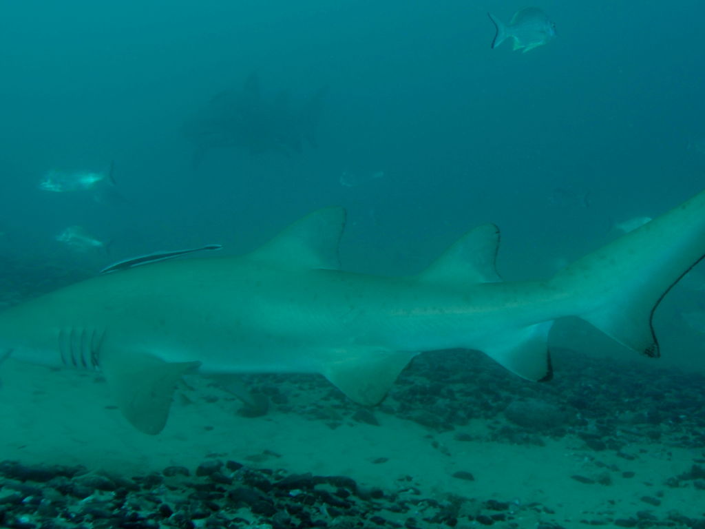 a86d41de-f027-468f-a624-34a980874745