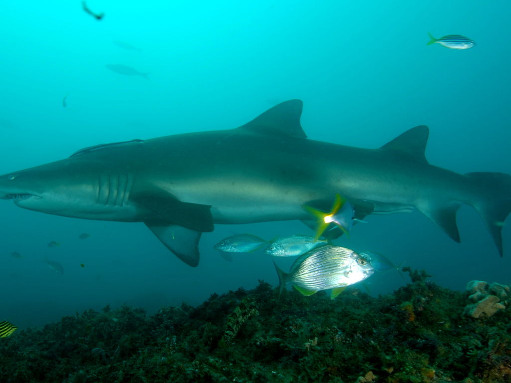 2f347823-9e4b-453b-a881-b6a8701bd826