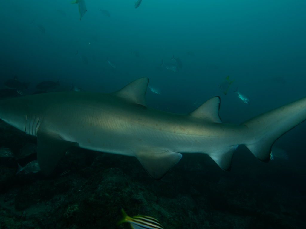 840650de-8baf-4a53-926c-a3eb7938d035