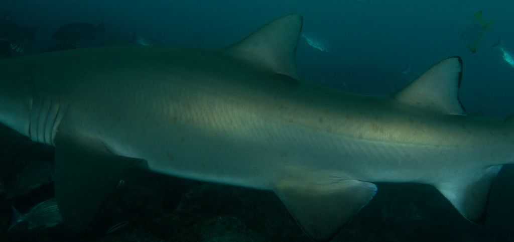 840650de-8baf-4a53-926c-a3eb7938d035