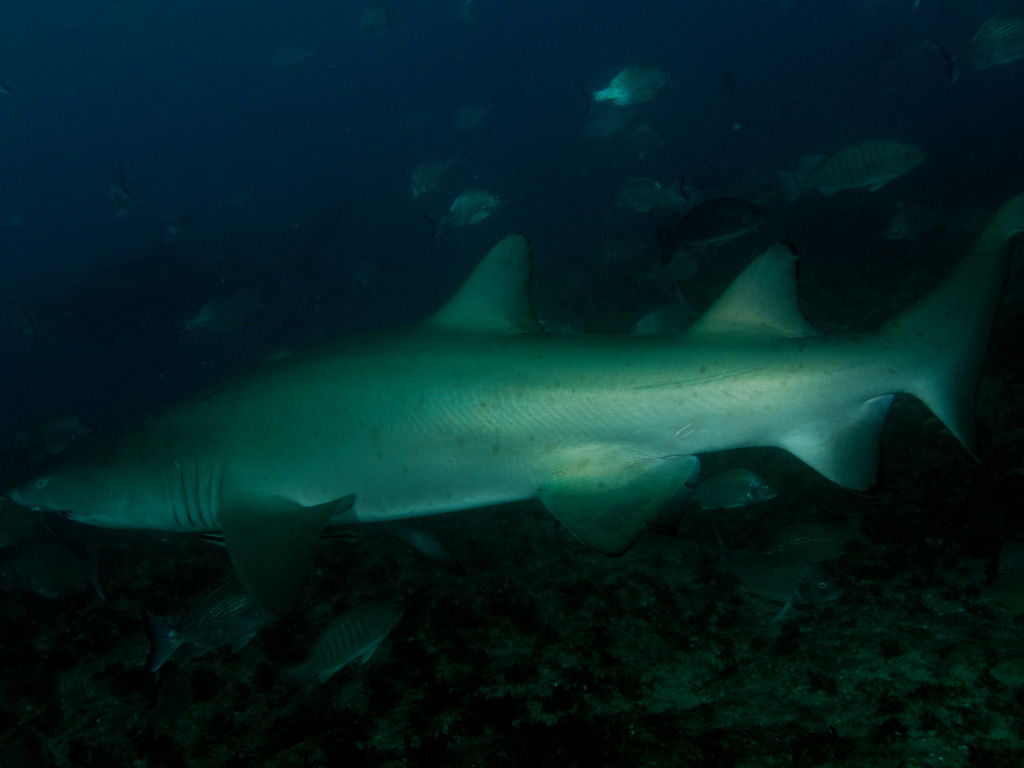 ebd5d8d7-6bbe-4cb6-81b8-cac58d54dee4