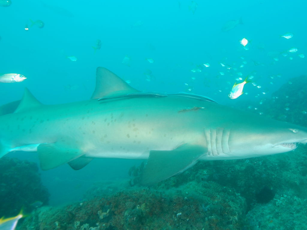 639ac39f-8dbe-495b-afaf-dab4a988696a