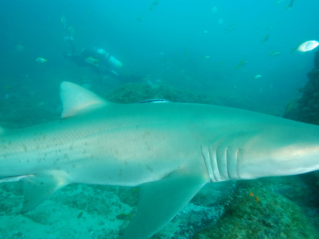 8d57a6d7-6b97-45a1-a780-745245354c3f