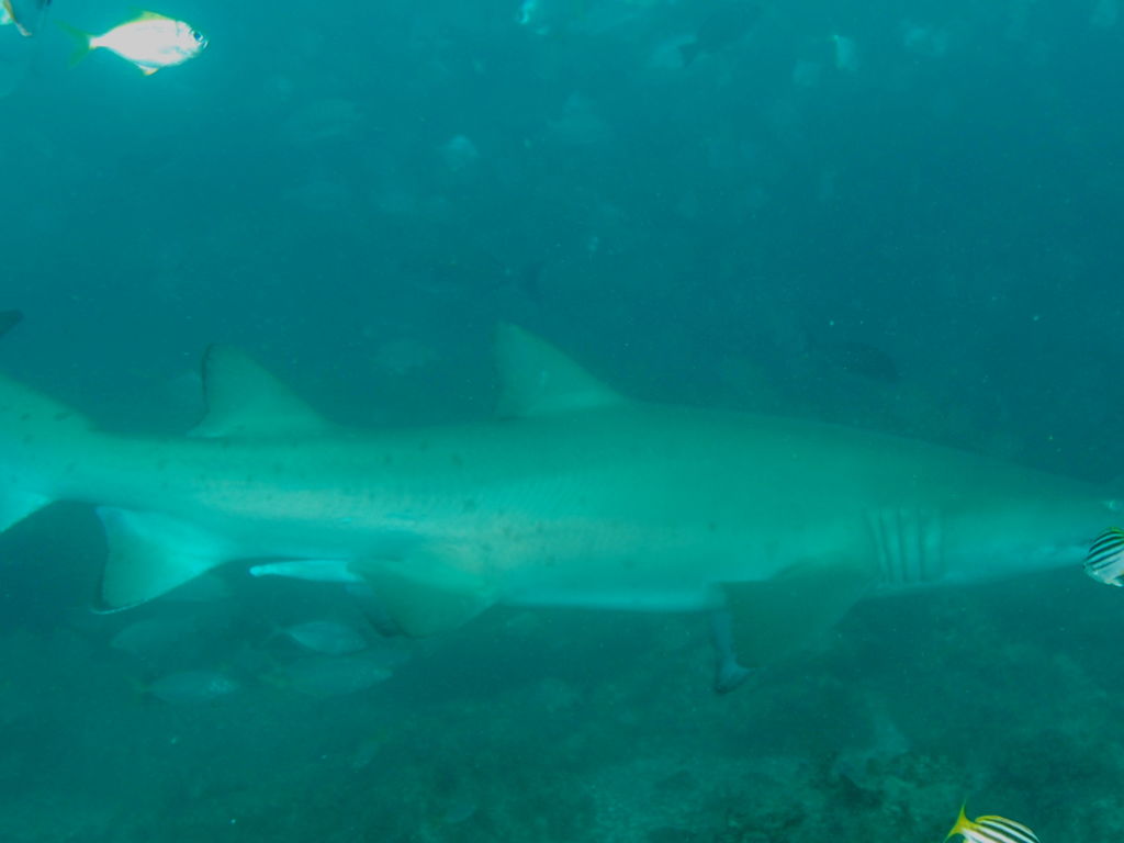 489cbdec-6f5a-4454-8935-b8a9b3338015