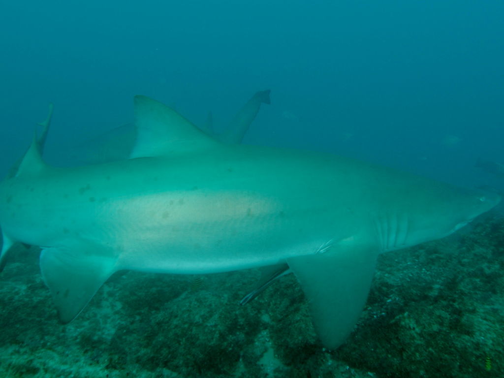 0ea7aa26-17bf-457d-a48b-d4c637c3e97d