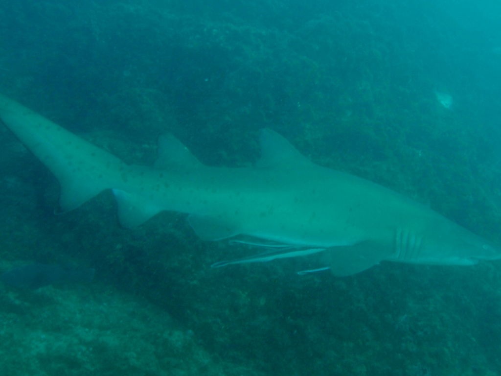 d5e8946e-5916-4606-8478-ce33e6e8975e